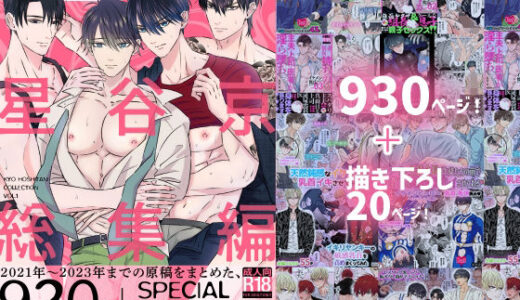 星谷京 総集編 Vol.1【星谷京】