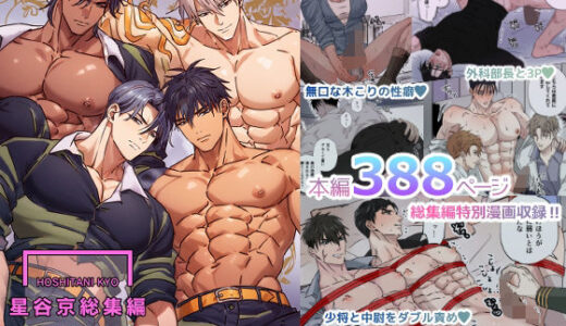 星谷京 総集編 VOL.2【FANZA限定描き下ろし漫画付き】【星谷京】