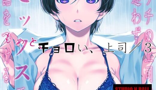 ウチの上司は迷わずセックスで話をつける〜もっと、チョロい、上司/3【スタジオN.BALL】