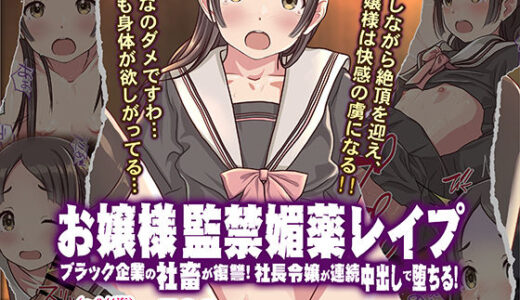お嬢様監禁媚薬レ●プ-ブラック企業の社畜が復讐！社長令嬢が連続中出しで堕ちる！-【Sage】