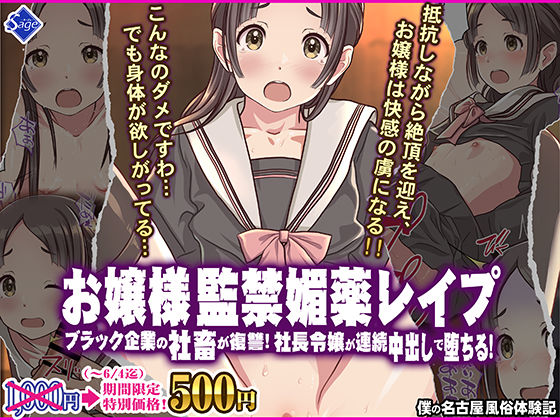 お嬢様監禁媚薬レ●プ-ブラック企業の社畜が復讐！社長令嬢が連続中出しで堕ちる！-【Sage】