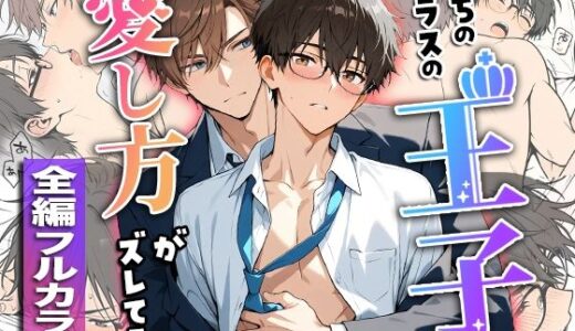 うちのクラスの王子は愛し方がズレてる【ぽんちょむ】