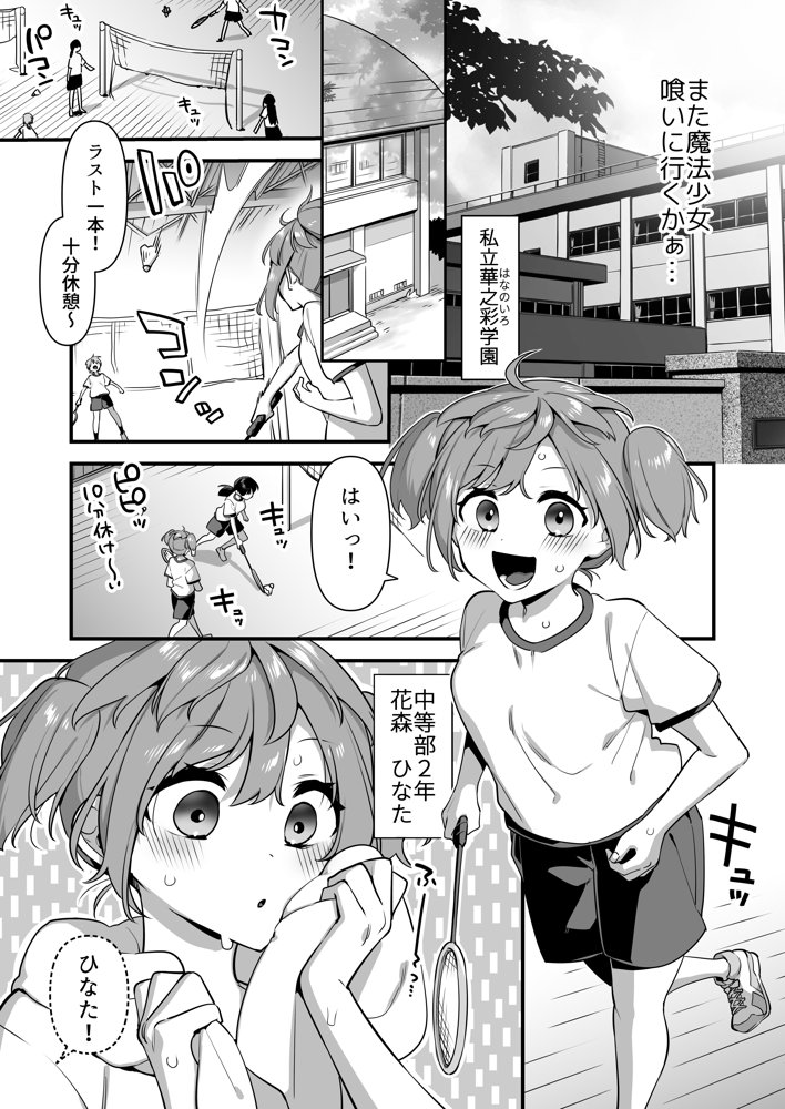 悪の手先になったので。〜魔法少女を凌●します〜2【うーらる】 エロ同人誌画像 007